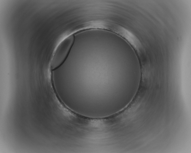 X0000111360944200907101228