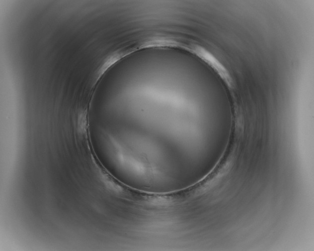 X0000111360945200907101228