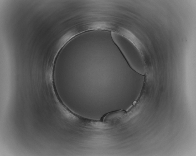X0000111360946200907101228