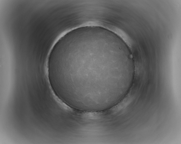 X0000111360950200907101228