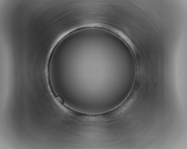 X0000111360951200907101228