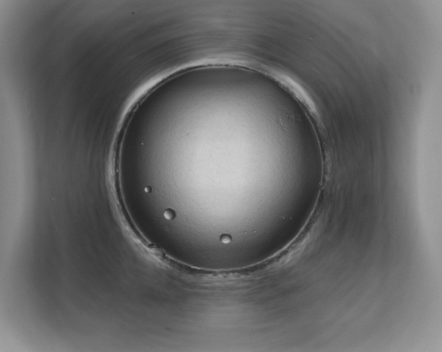 X0000111360952200907101228