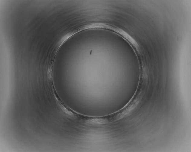 X0000111360953200907101228