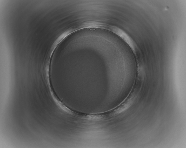 X0000111360954200907101228