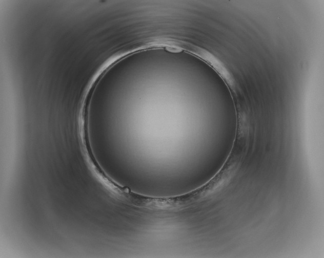 X0000111360955200907101228