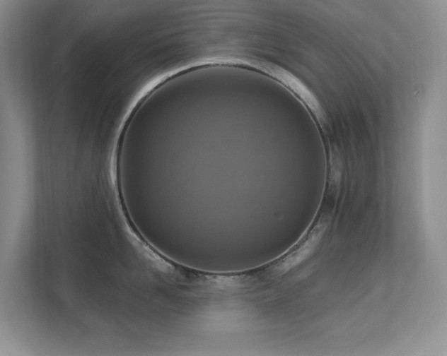 X0000111360958200907101228