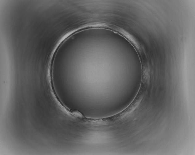 X0000111360959200907101228