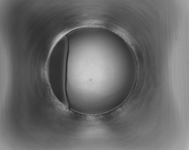 X0000111360960200907101228