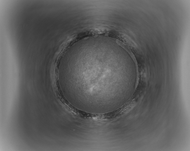 X0000111360961200907101227