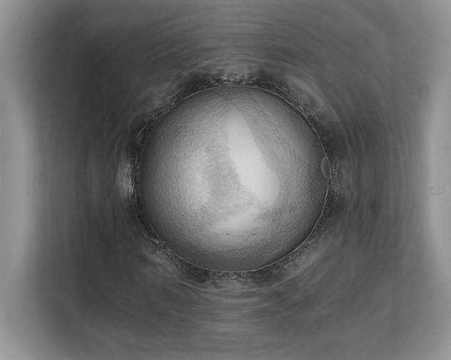 X0000111360962200907101227