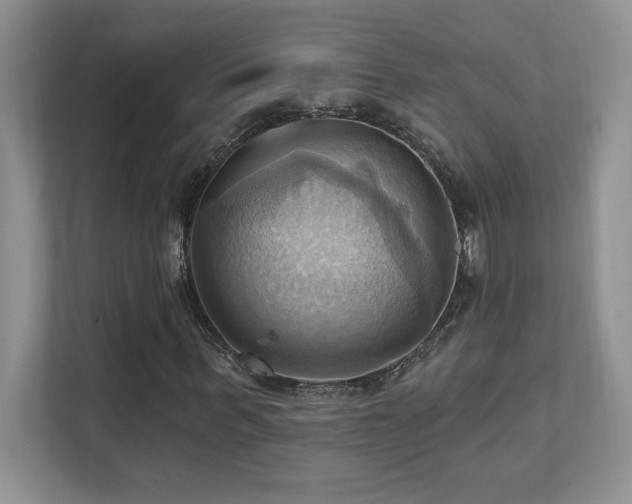 X0000111360963200907101227