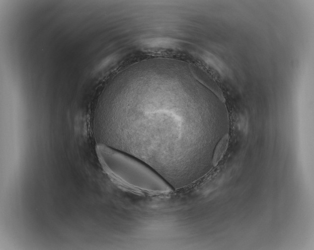 X0000111360965200907101227