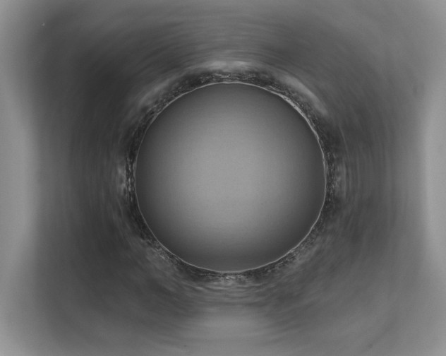 X0000111360966200907101227