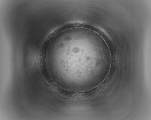 X0000111360967200907101227