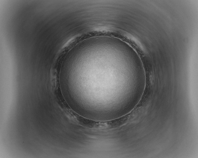 X0000111360968200907101227
