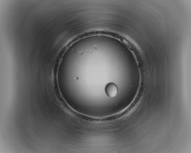 X0000111360969200907101227