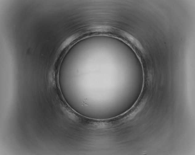 X0000111360970200907101227