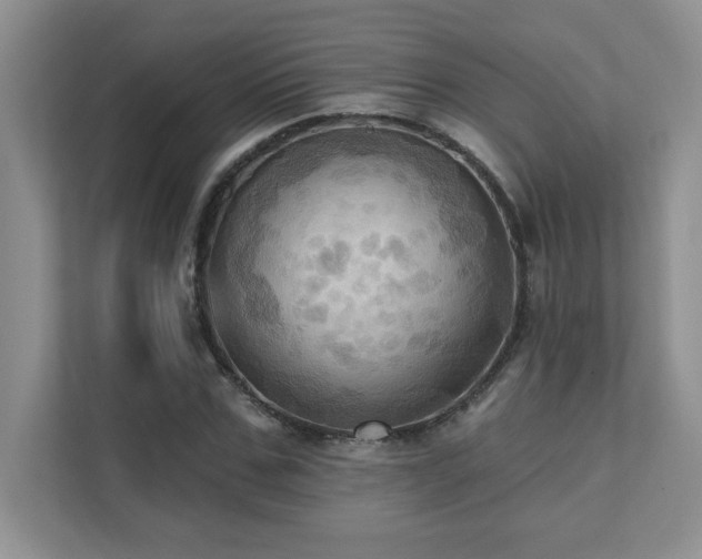 X0000111360971200907101227