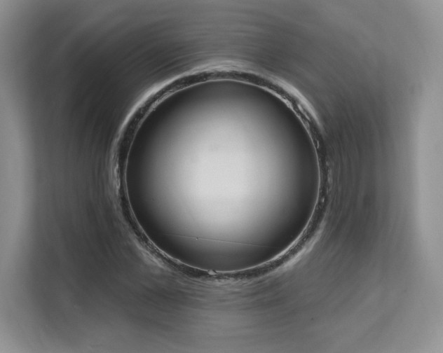 X0000111360973200907101227