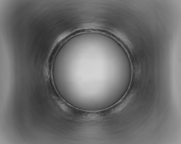 X0000111360974200907101227