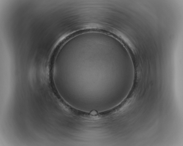 X0000111360975200907101227