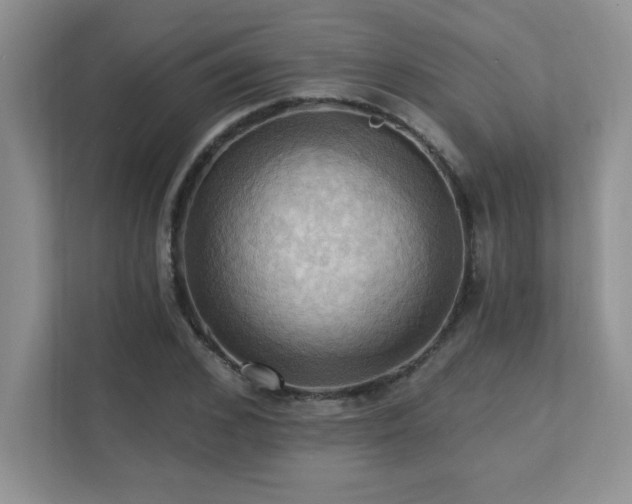 X0000111360976200907101227