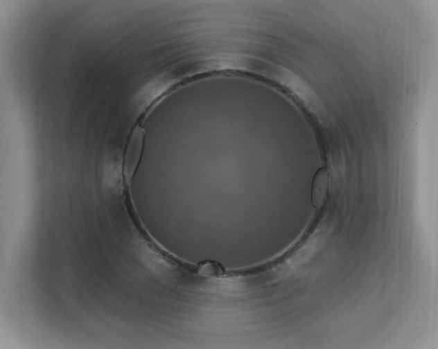 X0000111360977200907101227