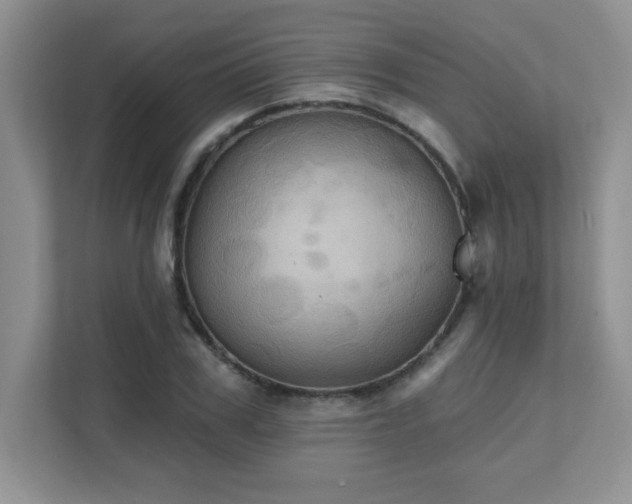 X0000111360979200907101227