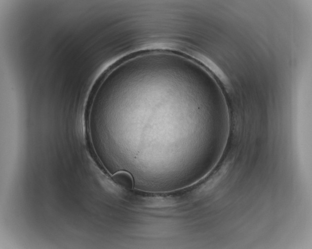 X0000111360980200907101227