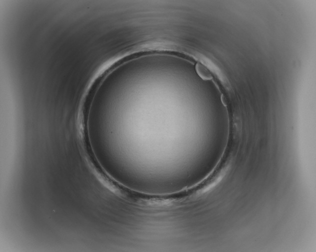 X0000111360981200907101227