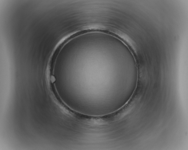 X0000111360983200907101227