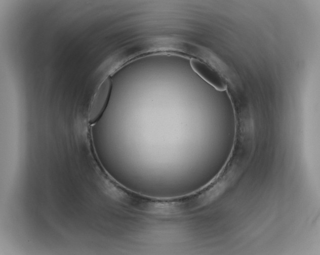 X0000111360985200907101227