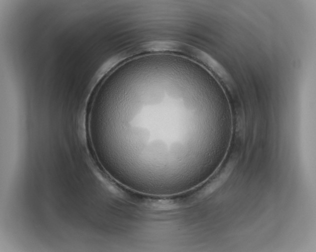 X0000111360986200907101227