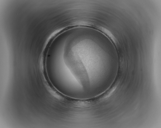 X0000111360987200907101227