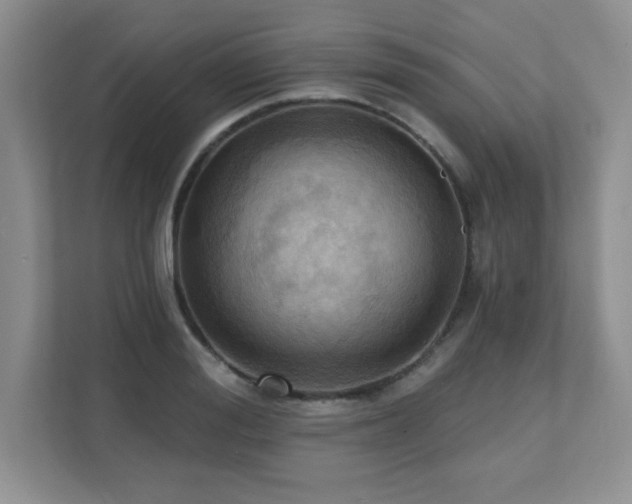 X0000111360988200907101227
