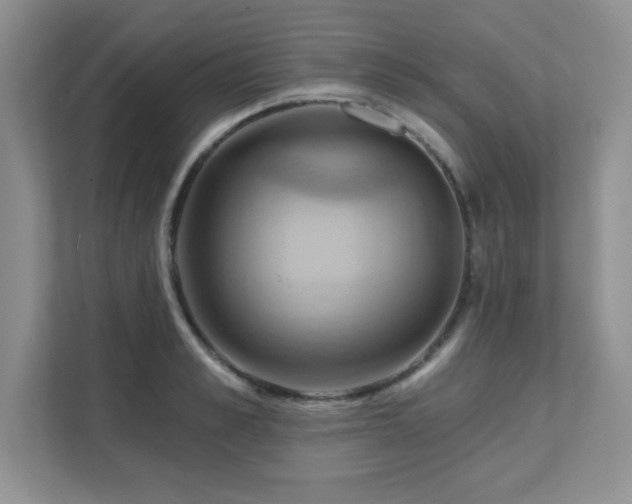 X0000111360989200907101227