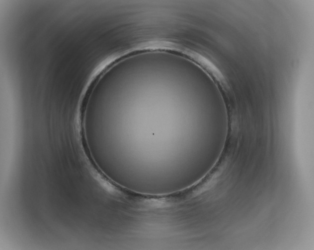 X0000111360990200907101227