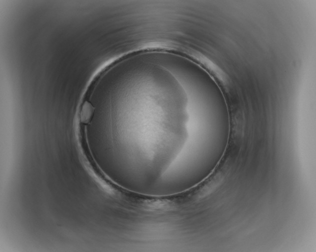 X0000111360991200907101227
