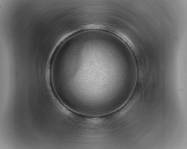 X0000111360992200907101227