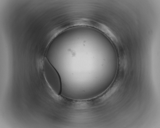 X0000111360993200907101227