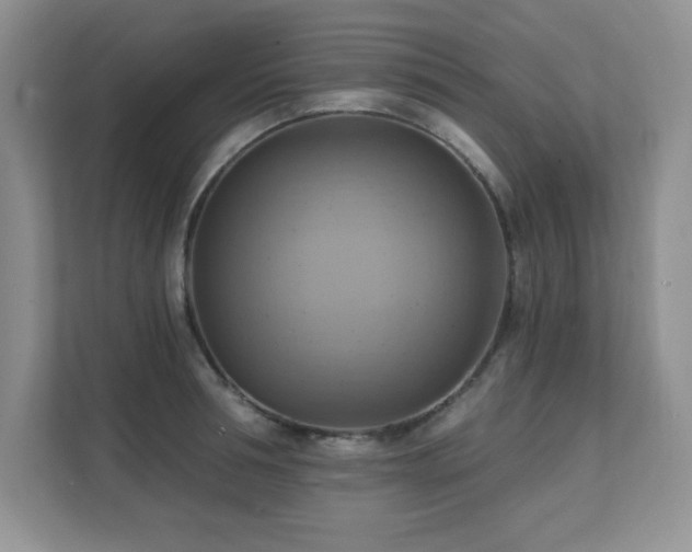 X0000111360994200907101227