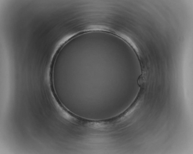 X0000111360995200907101227