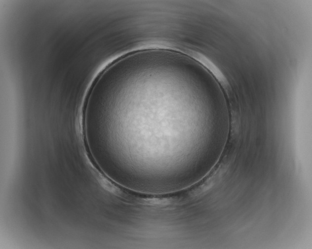 X0000111360996200907101227
