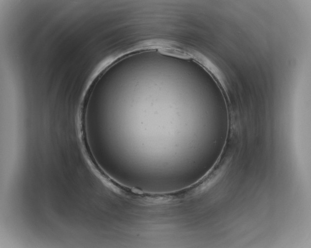 X0000111360997200907101227