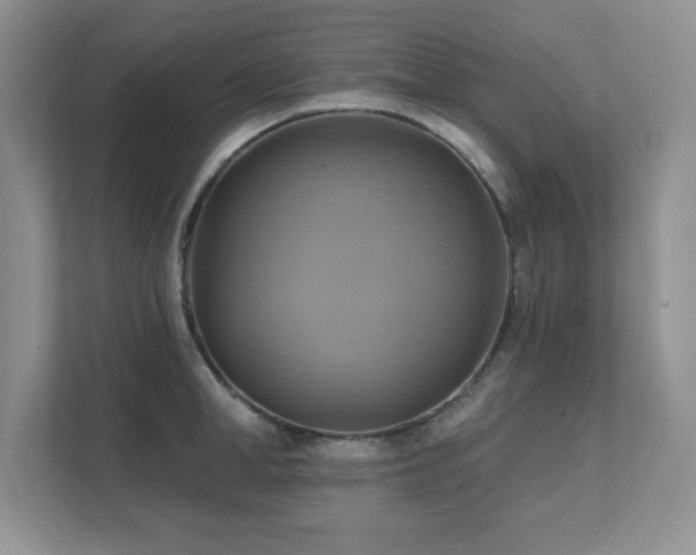 X0000111360998200907101227