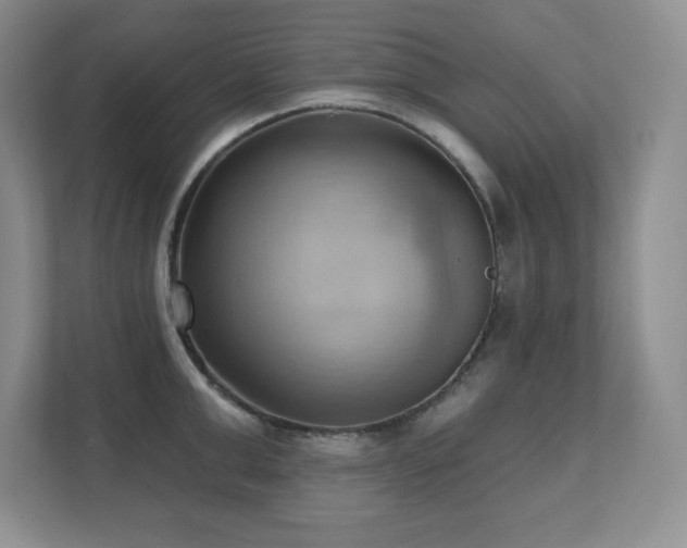 X0000111360999200907101227
