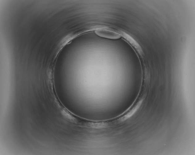 X0000111361001200907101227