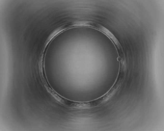 X0000111361002200907101227