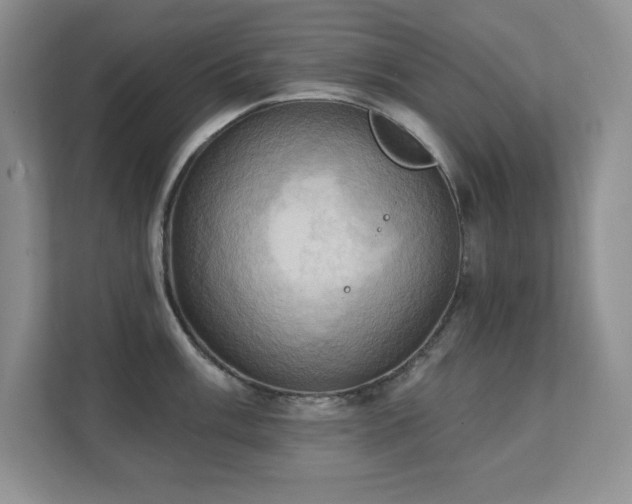 X0000111361003200907101227