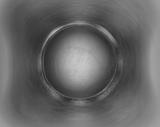 X0000111361004200907101227